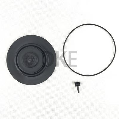 Goyen Type K2549 Pulse Valve Maintenance Kits RCAC25 Serie T3, DD3, FS3