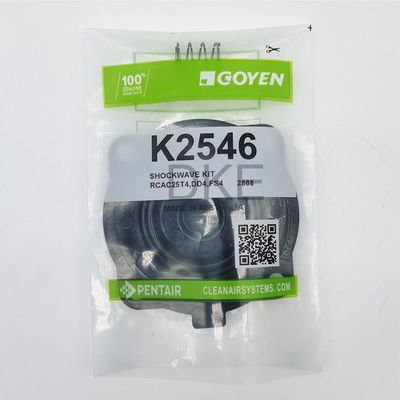 Goyen Type 2546 K2549 Pulse Valve Onderhouds Kits RCAC25 Serie T3, DD3, FS3,