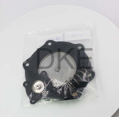 C113685 Puls-solenoïde klep voor stofverwijderingsapparatuur
