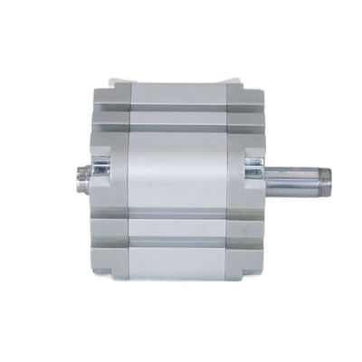 ADVU-40-5-A-P-A 156626 Pneumatische cilinder voor ruwe omgevingen