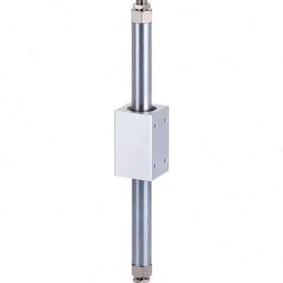 CY3B10 - 100/200/300/400/500 staafloze zuigercilinder zonder smeermiddel