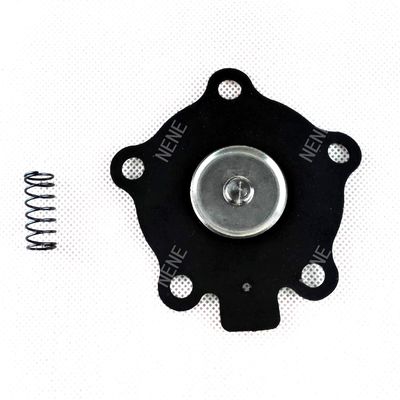 Air Pulse Valve Diaphragma Repair Kit K2000 (M1204B) GOYEN Valve Model CA20 RCA20 DD, T-serie