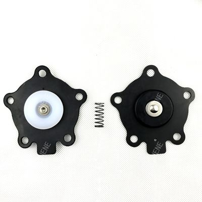 K2003 (M1174B) GOYEN Pulsventiel Diafragma Repair Kit Valve Model RCA20M 8002047