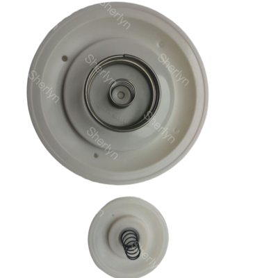 Autel M/D50 MD60 2-inch puls klep diafragma reparatie kit AE1450B afdichting ring TPEE