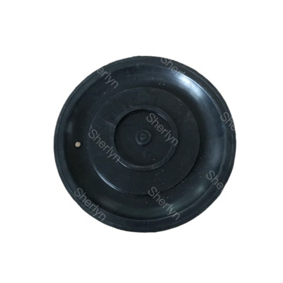 AE2818B Pulsklepdiafragma met TPE-materiaal 3/4'' Port Size Fitted Model