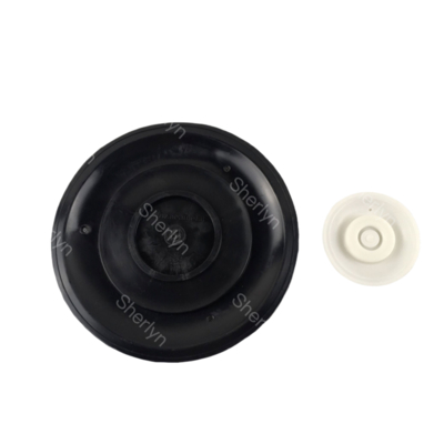 AE2818B Pulsklepdiafragma met TPE-materiaal 3/4'' Port Size Fitted Model