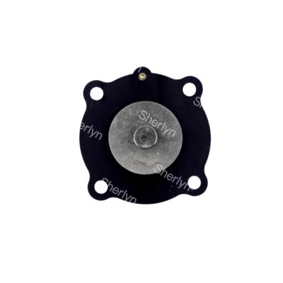 Joil Pulse Valve Diaphragma DN25 JISI25 JICI25 JICR25 Koreaanse Asahi 1 inch Diaphragma Repair Kit