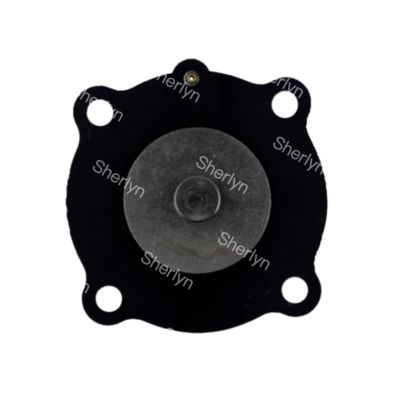 Joil Pulse Valve Diaphragma DN25 JISI25 JICI25 JICR25 Koreaanse Asahi 1 inch Diaphragma Repair Kit