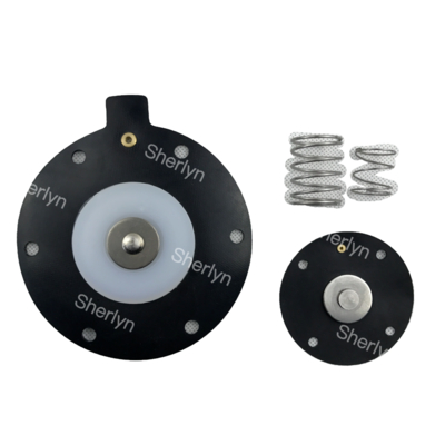 DMF-Z-40S BFEC-zak met diafragma DMF-Z-40S 1,5 inch Elektromagnetische puls klep diafragma reparatie kit