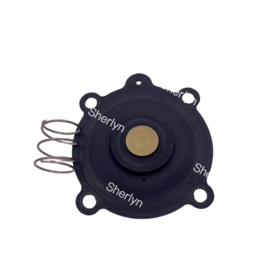 ASCO C131606 Membraanreparatieset Geschikt voor SCE238D004 SCE238D009 Waterklep Membraan NBR/VITON