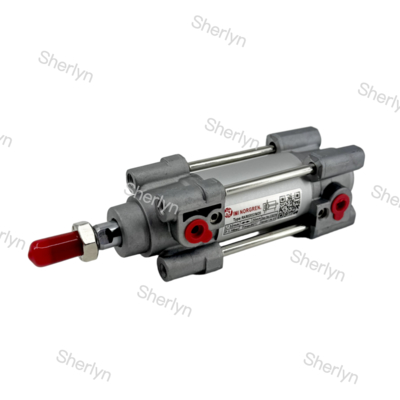 RA/802032/M/125 Dubbelwerkende cilinder 32 mm Diameter 125 mm slag