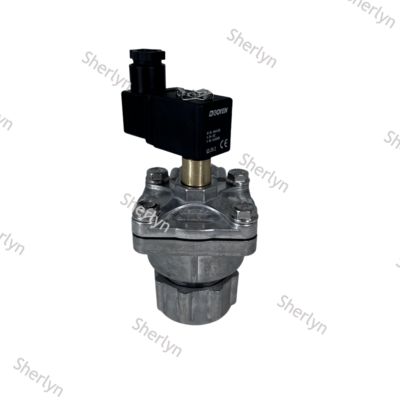 GOYEN Pulse Valve CAC20DD4 3/4 Inch