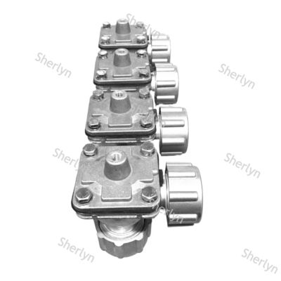 GOYEN RCA25DD 1-inch Pneumatic Lock Nut Pulse Valve Pneumatic Lock Nut Pulse Valve Dust Removal Valve