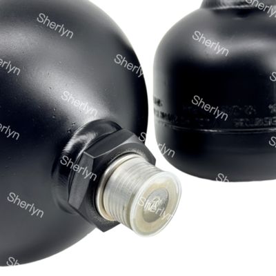 Volvo-diafragma-accu VOE11173688