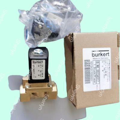 00221846 Burkert Magneetventiel AC220V G1/2