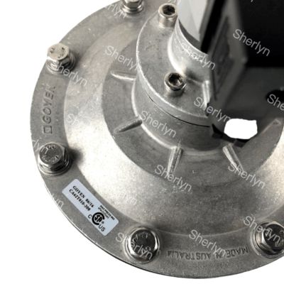 GOYEN Elektromagnetische pulsventiel CA62T 2 1/2 rechthoekig type Geschikt diafragma K5004 K5000