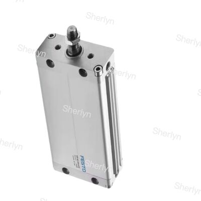 Dubbelwerkende 100 mm slag DZF-12-100-A-P-A 161229