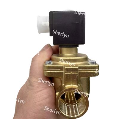 6281 Burkert Elektronenmagnetische klep 00221931 G3/4 2/2 Normaal geopend AC24V