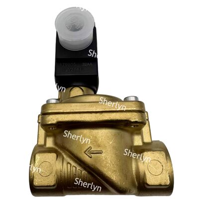 NBR Seal Electric Burkert Solenoïde Valve 3/4 00221937 DC24V