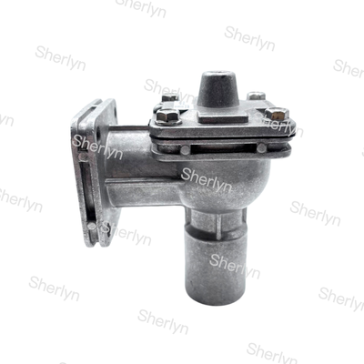 GOYEN 4e generatie RCAC25FS4 1-inch flens puls klep pneumatische stofbestrijding