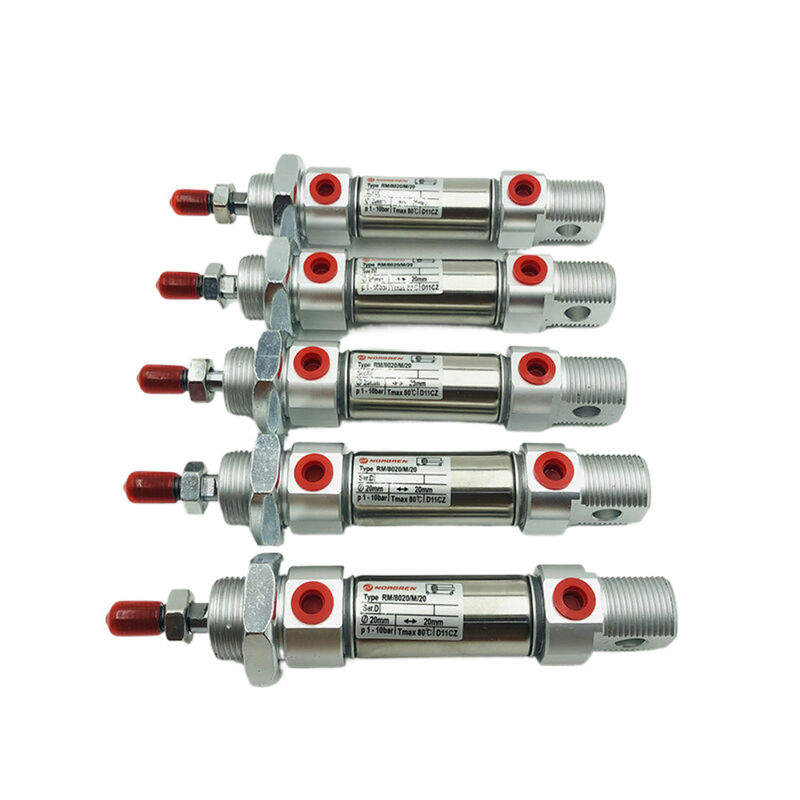 NORGREN Operatie Magnetische zuiger dubbelwerkende cilinder RM/8012/M/250 voor verschillende toepassingen