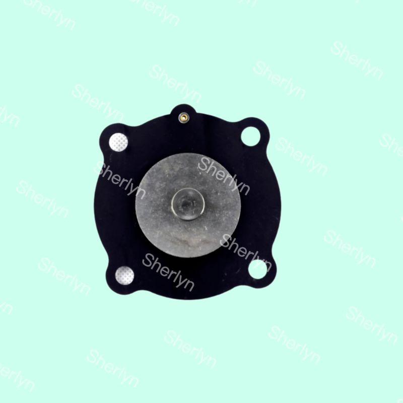 Joil Pulse Valve Diaphragma DN25 JISI25 JICI25 JICR25 Koreaanse Asahi 1 inch Diaphragma Repair Kit