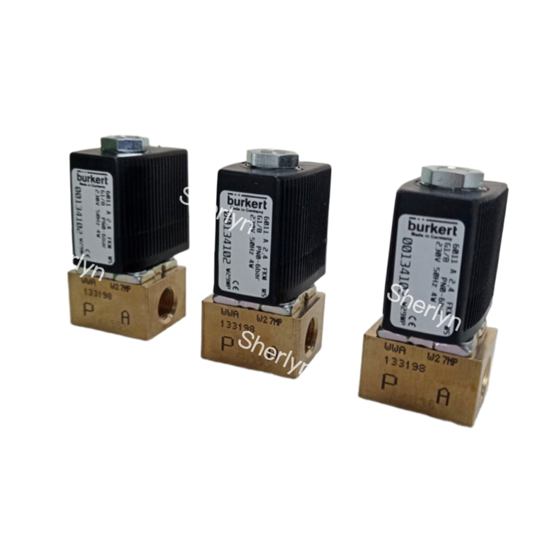 Burkert magneetventiel 00221669 6213 Type G1 2/2 Normaal Gesloten