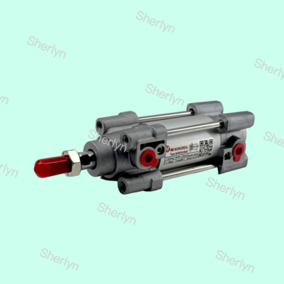RA802032/M/20 NORGREN Cylinder 15552 serie Dubbelwerkend 32 mm Cylinderdiameter