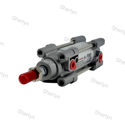 RA/802032/M/125 Dubbelwerkende cilinder 32 mm Diameter 125 mm slag