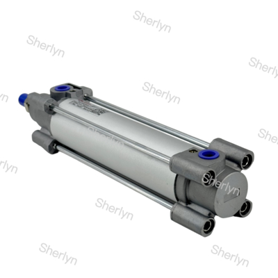 Dubbelwerkende Norgren zuiger pneumatische cilinder RA/802040/M/75